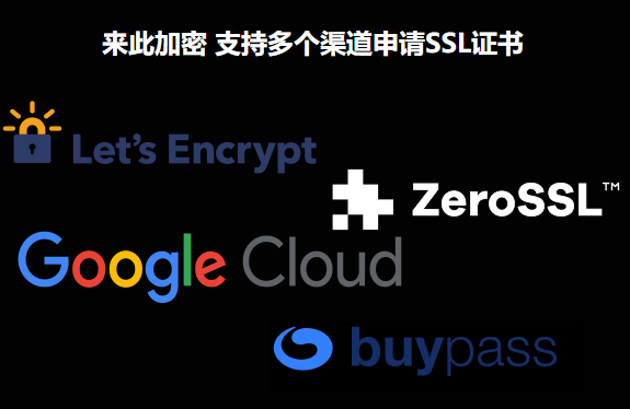 性价比很高的多域名SSL证书：Buypass