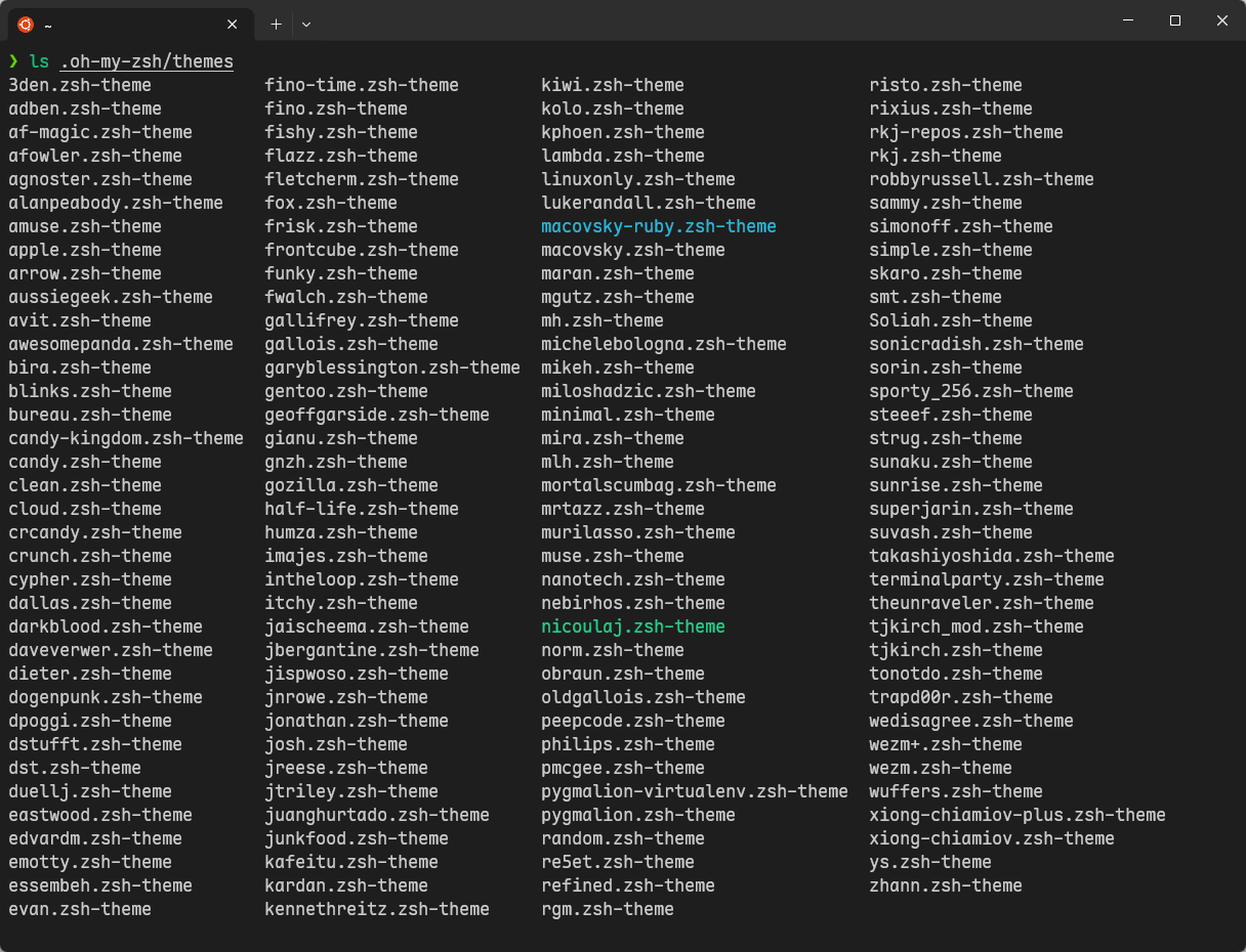 图 5:Oh-My-Zsh 内置的主题