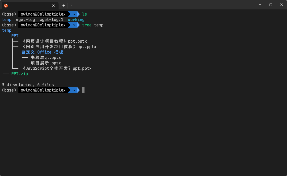 图 6:agnoster 主题的效果