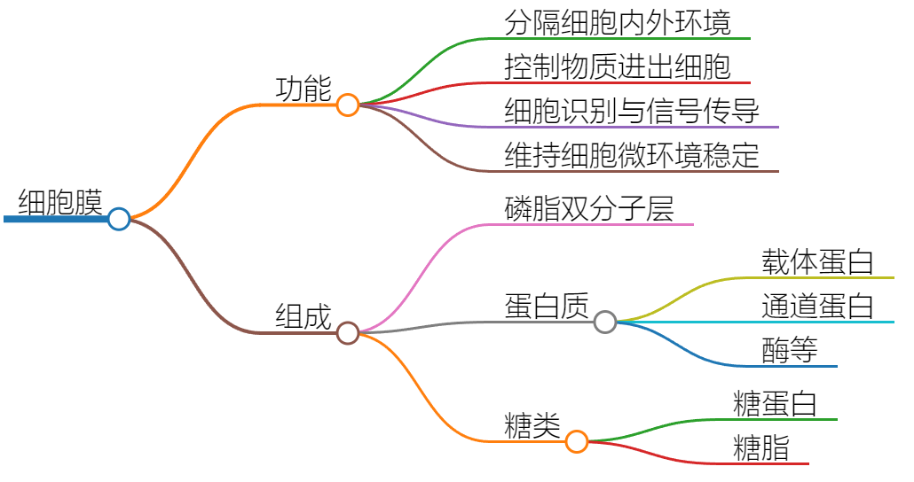 Markmap，用Markdown语法轻松创建思维导图，AI助力提升工作效率