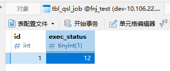 tinyint1_插入12成功