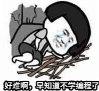 好难 不该学编程的
