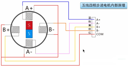 五线四相步进电机内部原理图