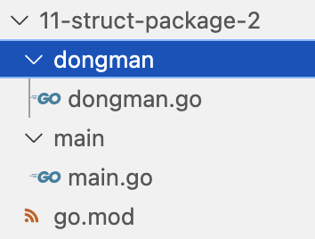 Go语言结构体(struct)面向对象编程基础篇