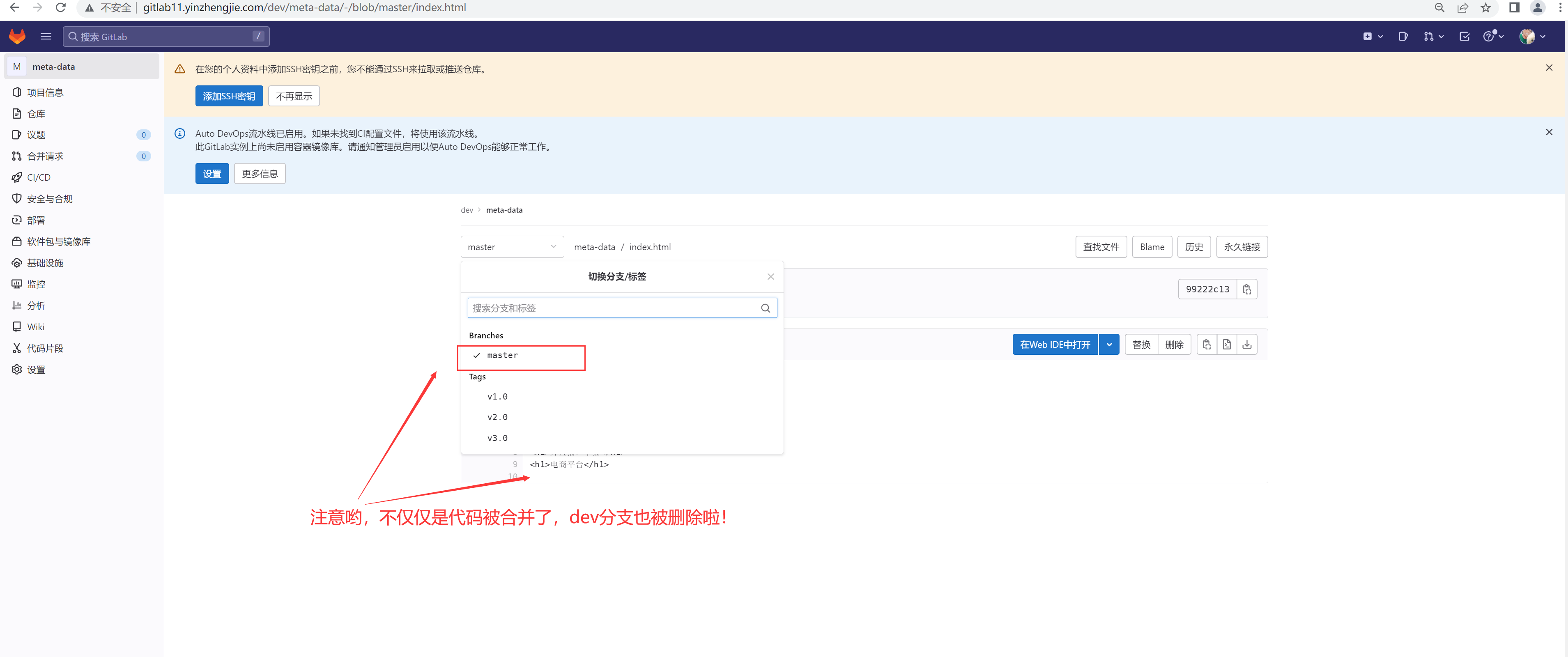 GitLab快速上手指南上篇