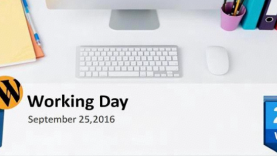 编程研发工作日记