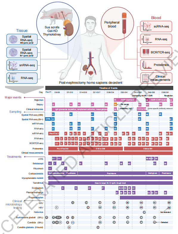 Pasted image 20251130205250