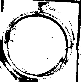 小鱼图片2-单个-二级化处理