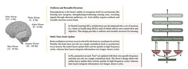 Google 将人脑电波的频率机制引入了 AI 架构设计，构建了不同更新频率的层级