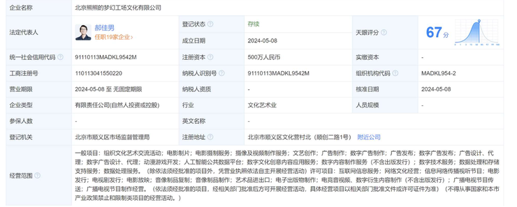 谁偷走了图森未来的梦想？