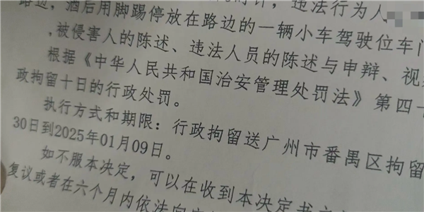 小米 SU7 停路边被踢了一脚哨兵模式立功！踢车男子被送进拘留所跨年