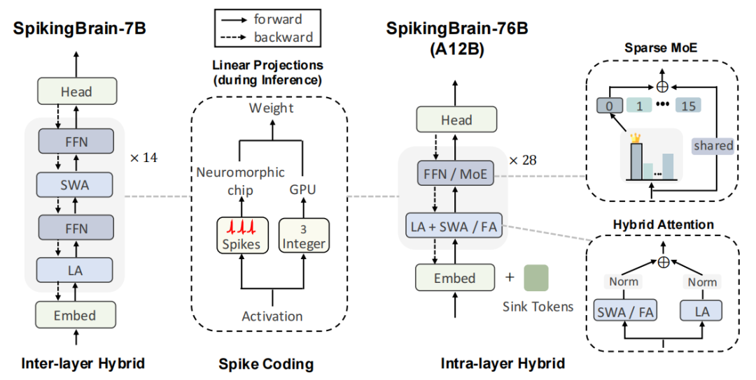 图 2. SpikingBrain 网络架构
