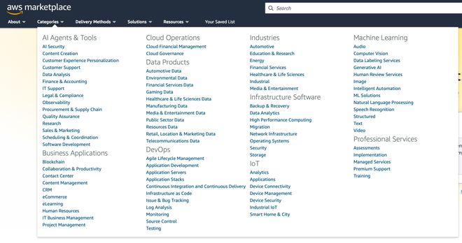 对话亚马逊云科技苏小龙：AI Agents 赛道在以倍数增长