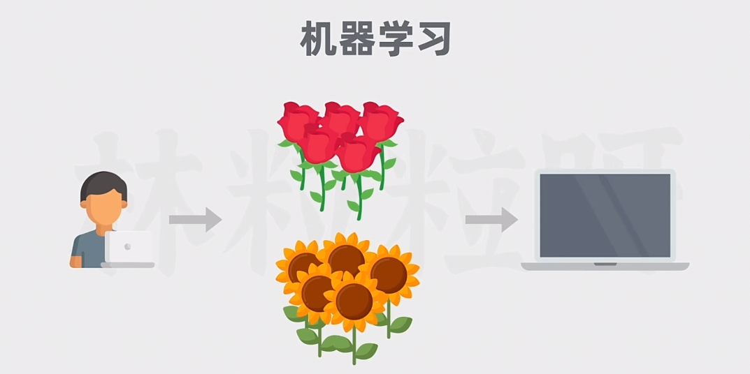 image-20250210下午62633345