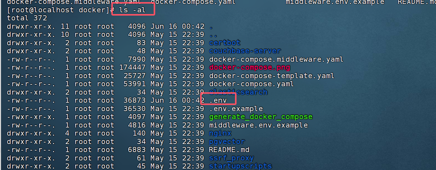 image-20250619200952750