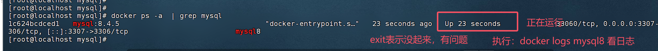 image-20250619205015398