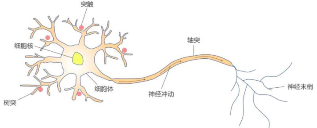 Snipaste_2024-11-06_09-36-19