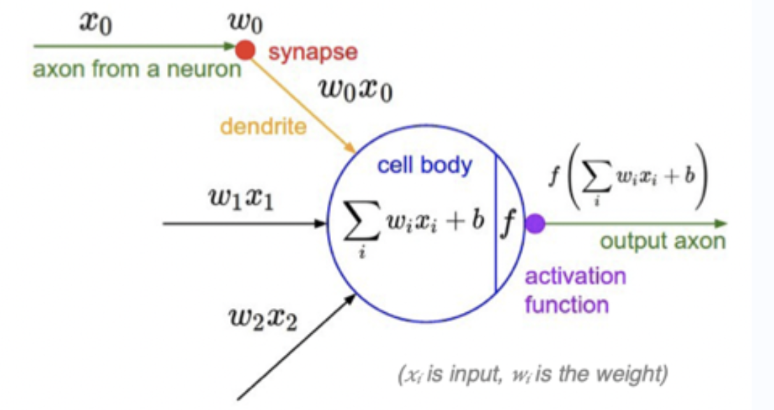 image-20231221035927808