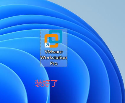 image-20251109213324476