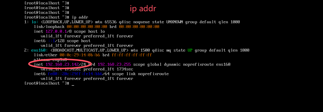 image-20251109221616697