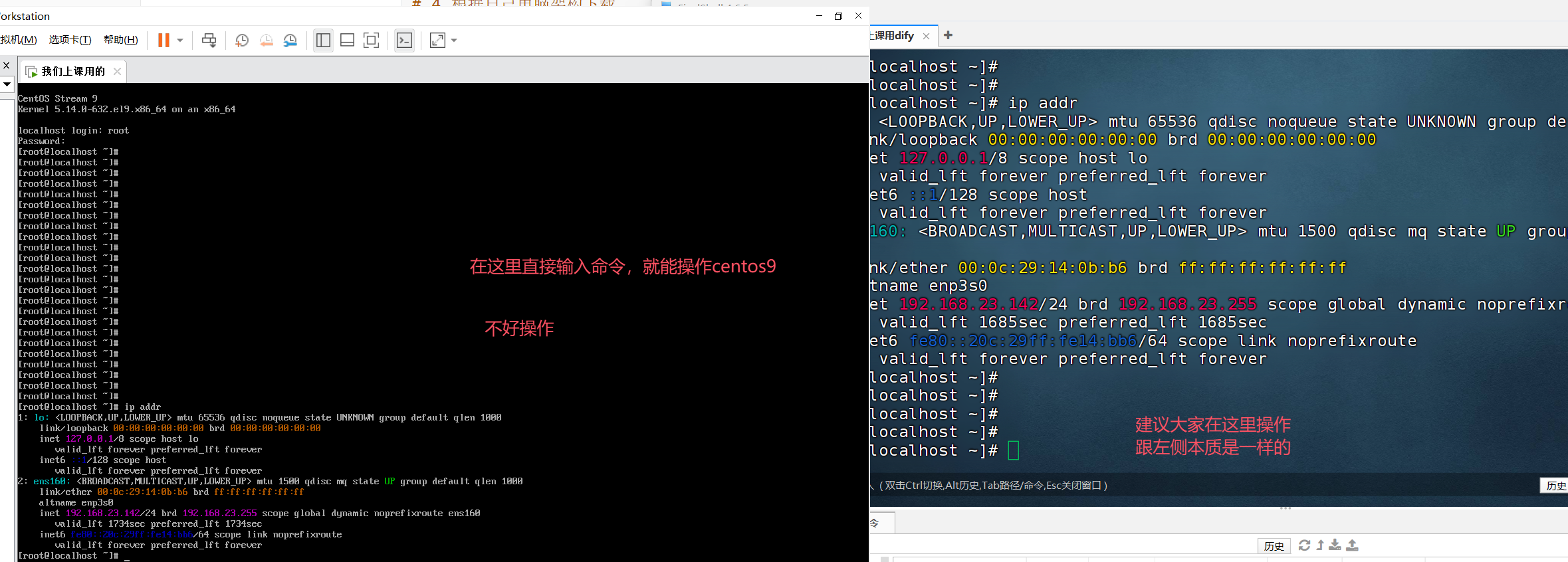 image-20251109221852565