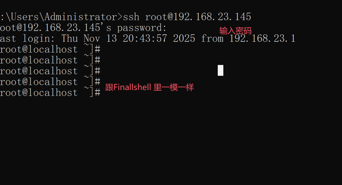 image-20251113204723810