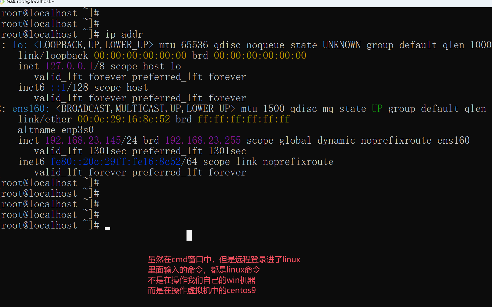 image-20251113204854186