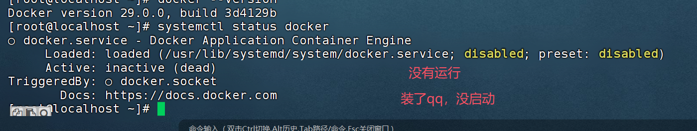 image-20251113210241944