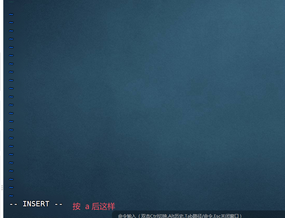 image-20251113210715335