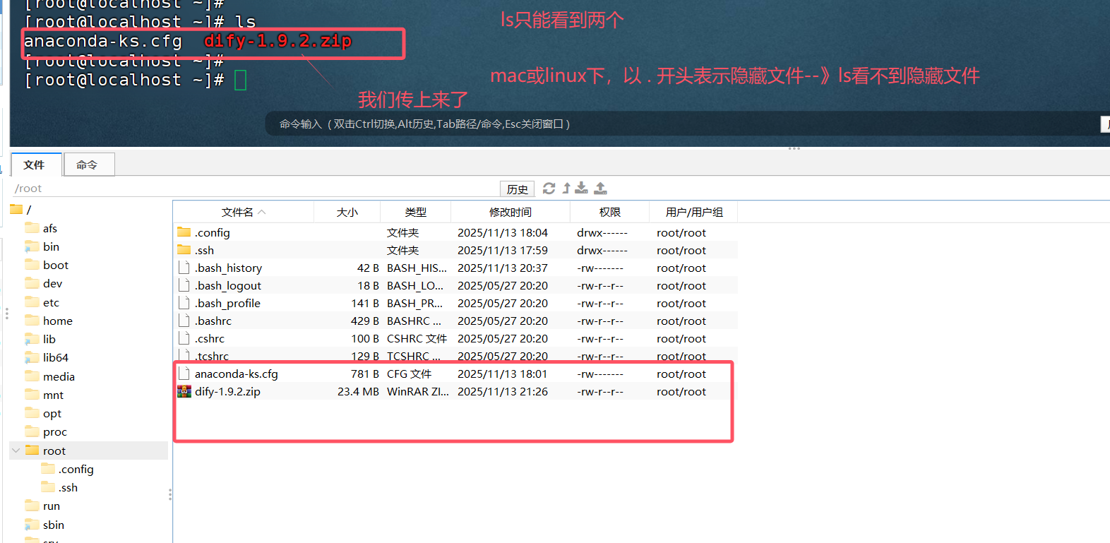 image-20251113212833272