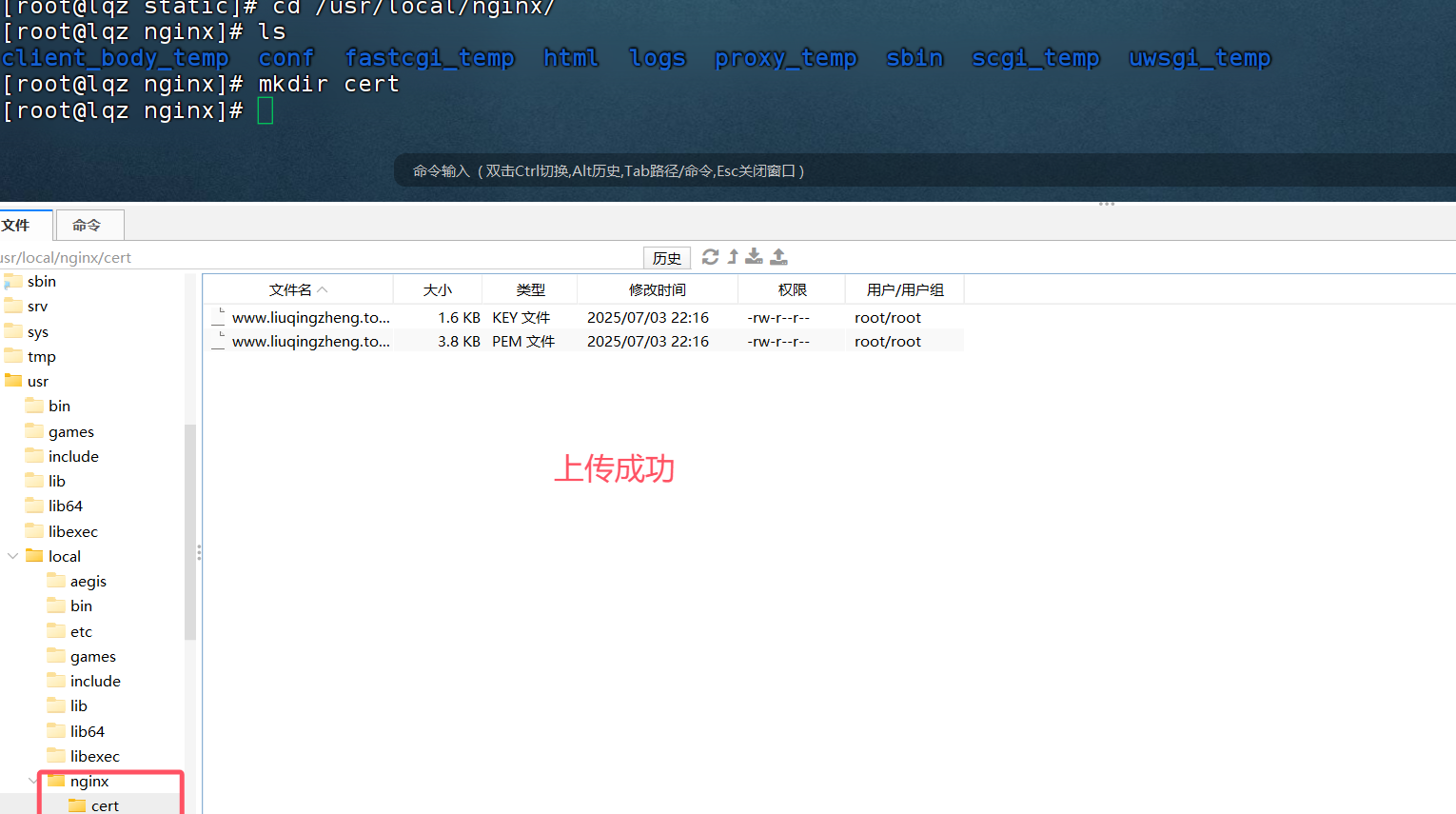 image-20250703221658396