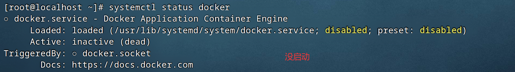 image-20260122212605709